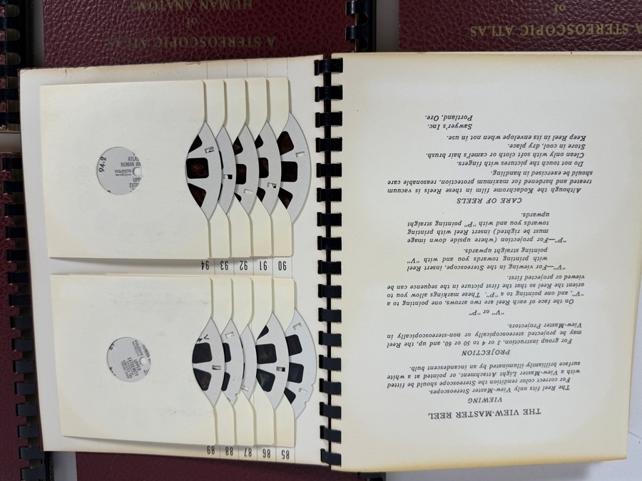 Rare Set Of (6) Vintage 1955 A Stereoscopic Atlas of Human Anatomy by David L. Bassett Upper and Lower Extremity View-Master Reels [Photo 19]