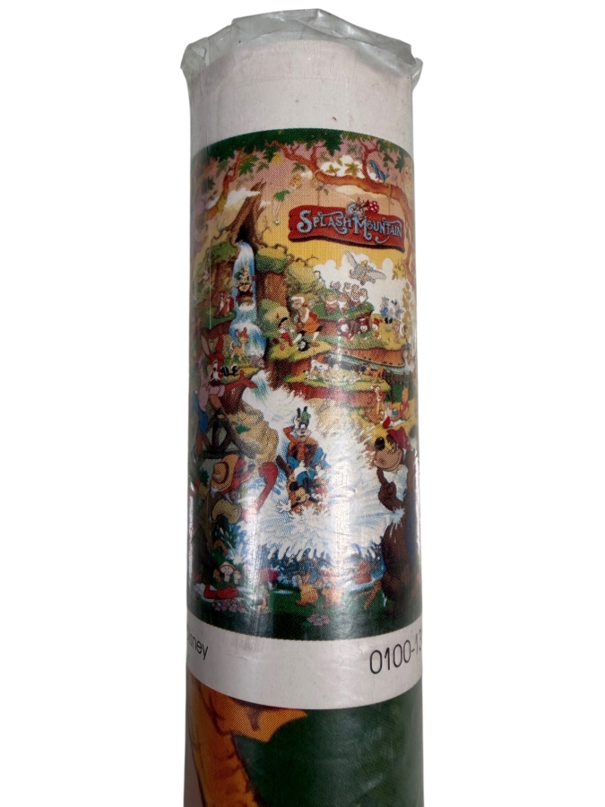 New Disney's Splash Mountain Poster