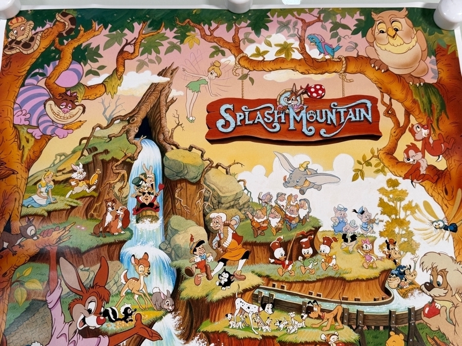 Rare Vintage Disney Splash Mountain Poster 18 X 24 [Photo 4]