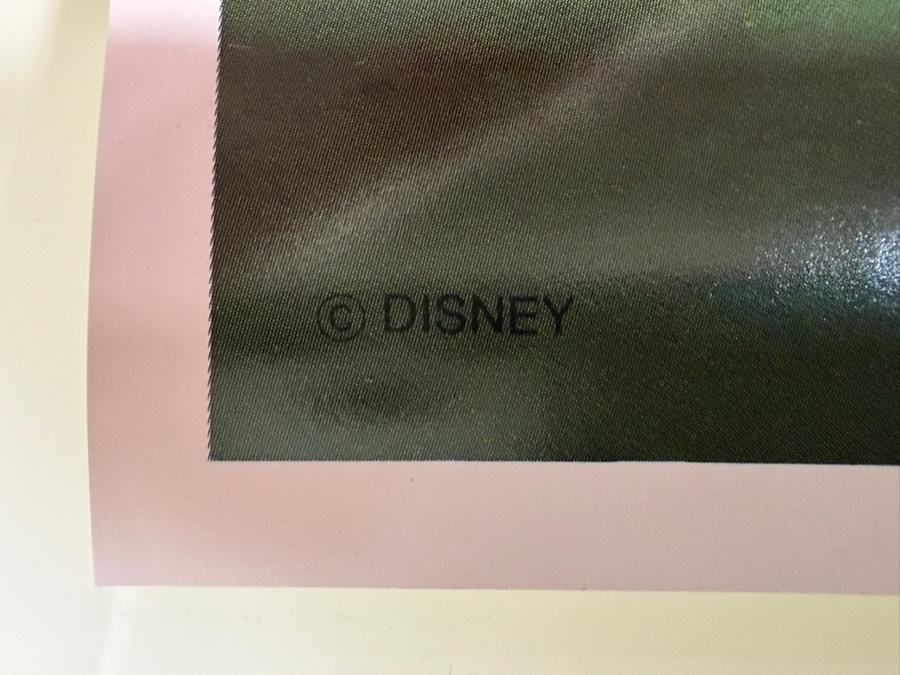 Rare Vintage Disney Splash Mountain Poster 18 X 24 [Photo 6]