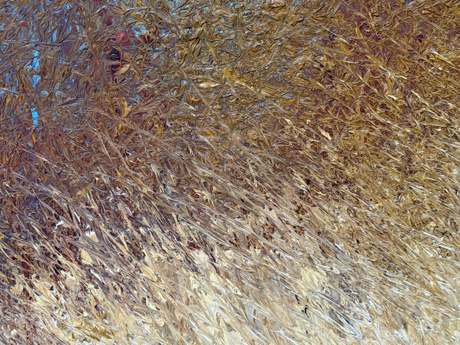 Richard Bogusz (B. 1947, Australian) Original Oil Painting on Board 36 X 30 Framed 43.5 X 37.5 [Photo 7]