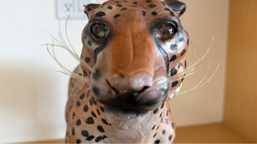 Vintage Hand-Painted Leather-Wrapped Standing Leopard Sculpture Made In India 22' X 15' [Photo 5]