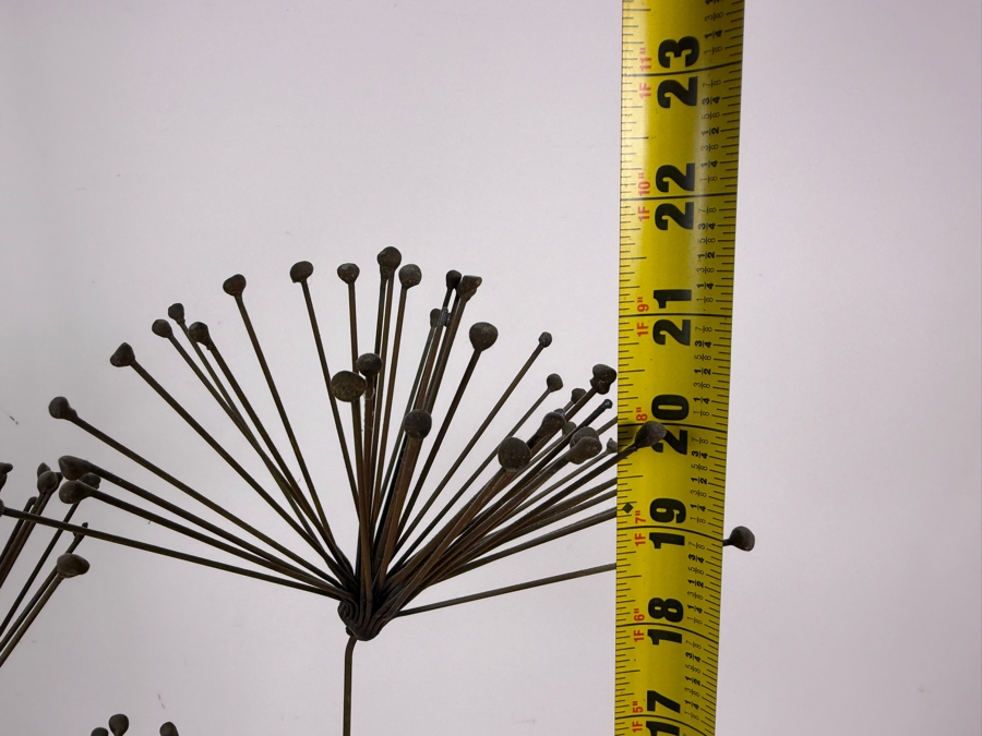 Mid-Century Modern Brutalist Welded Wire Dandelion Botanical Tabletop Sculpture 21'H [Photo 4]