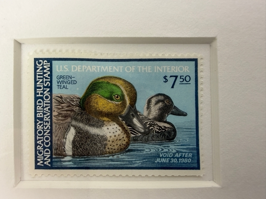 Framed 1979 1980 Federal Duck Stamp Limited Edition 620/7,000 Print Signed By Ken Michaelsen [Photo 5]