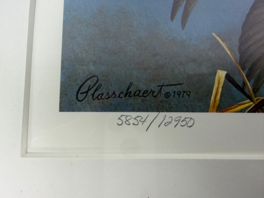 Framed 1980 1981 Federal Duck Stamp Limited Edition 5,854/12,950 Print Signed By Richard W Plasschaert 15' X 14' [Photo 5]