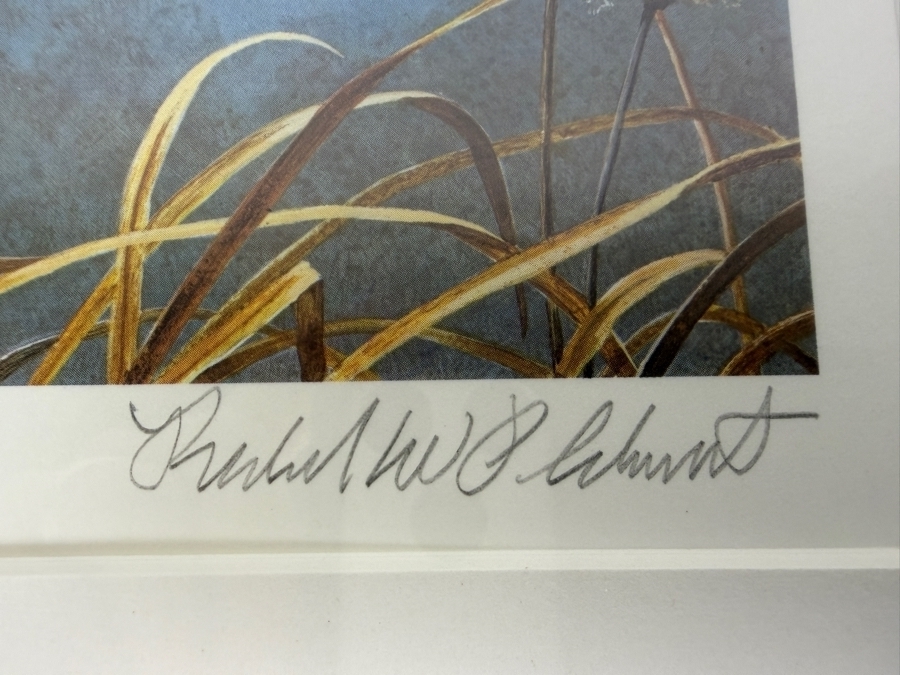Framed 1980 1981 Federal Duck Stamp Limited Edition 5,854/12,950 Print Signed By Richard W Plasschaert 15' X 14' [Photo 4]
