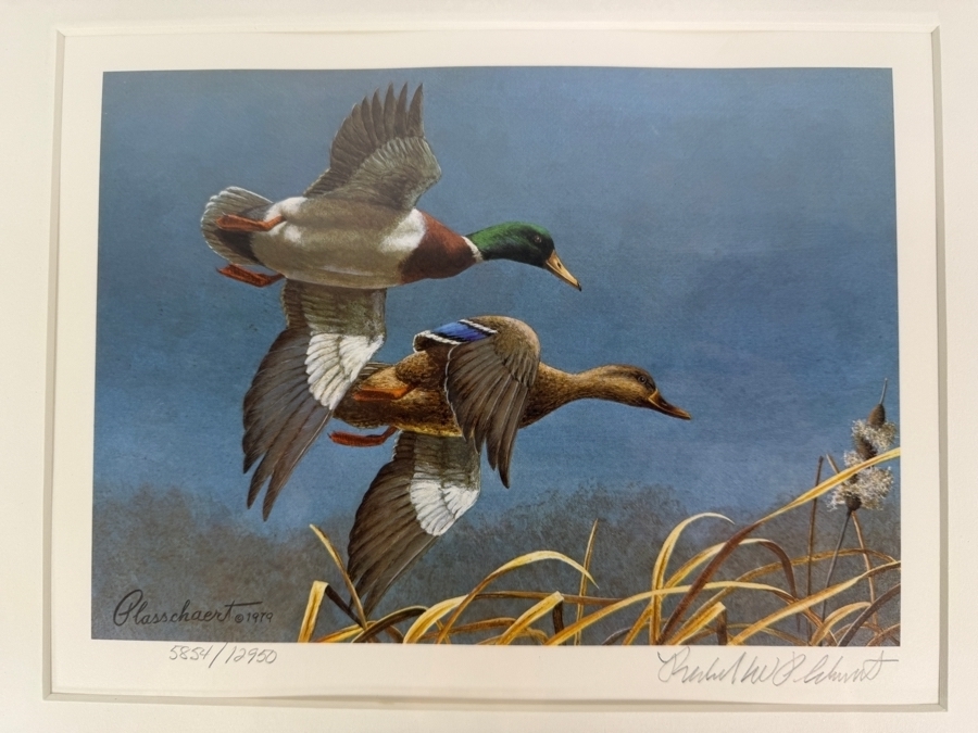 Framed 1980 1981 Federal Duck Stamp Limited Edition 5,854/12,950 Print Signed By Richard W Plasschaert 15' X 14' [Photo 3]