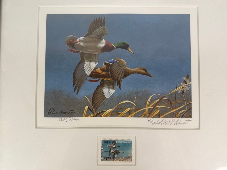 Framed 1980 1981 Federal Duck Stamp Limited Edition 5,854/12,950 Print Signed By Richard W Plasschaert 15' X 14'
