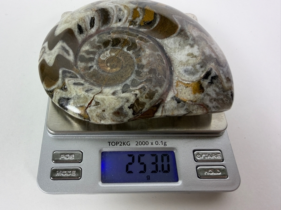 Polished Madagascar Ammonite Fossil Section Showing Intricate Crystallized Suture Patterns 253g [Photo 6]