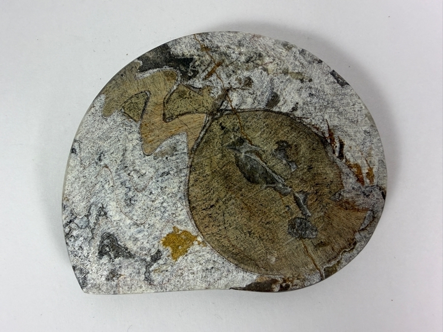 Polished Madagascar Ammonite Fossil Section Showing Intricate Crystallized Suture Patterns 253g [Photo 5]