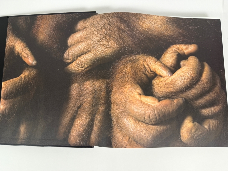 Tim Flach More Than Human Panda Cover Hardcover Animal Photography Coffee Table Book [Photo 5]