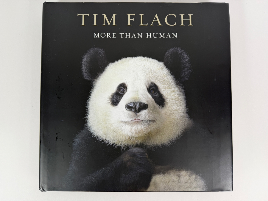 Tim Flach More Than Human Panda Cover Hardcover Animal Photography Coffee Table Book [Photo 2]