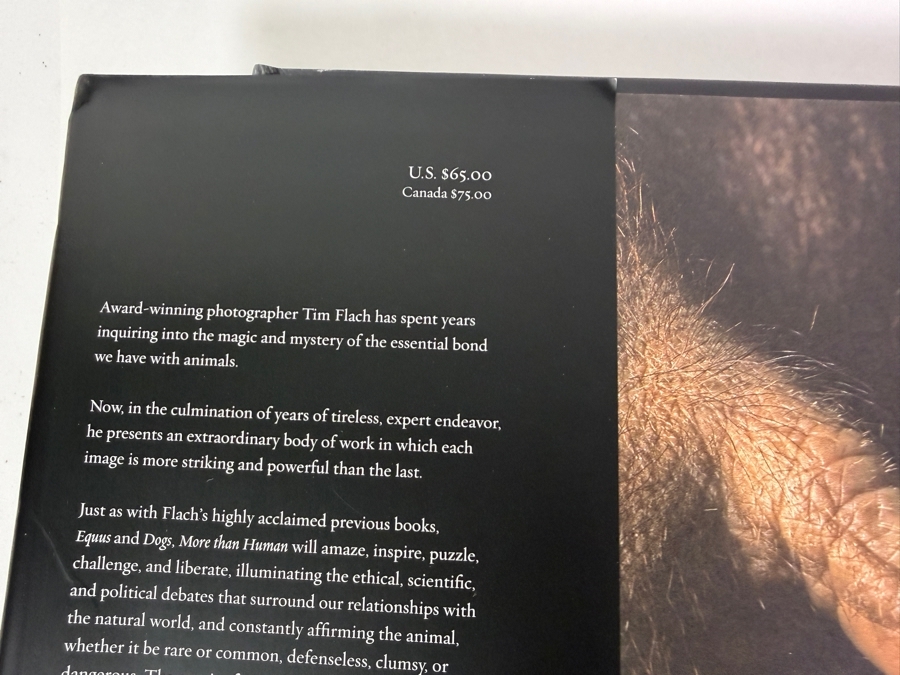 Tim Flach More Than Human Panda Cover Hardcover Animal Photography Coffee Table Book [Photo 4]