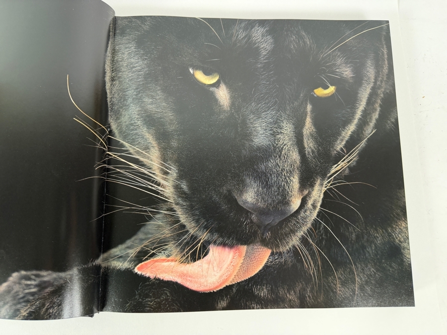 Tim Flach More Than Human Panda Cover Hardcover Animal Photography Coffee Table Book [Photo 8]