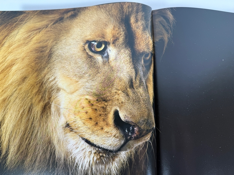 Tim Flach More Than Human Panda Cover Hardcover Animal Photography Coffee Table Book [Photo 9]