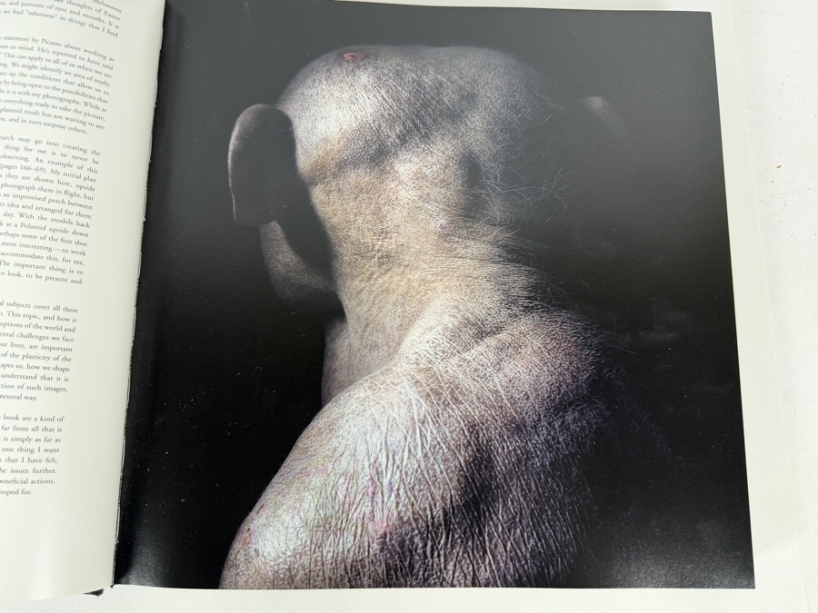 Tim Flach More Than Human Panda Cover Hardcover Animal Photography Coffee Table Book [Photo 7]