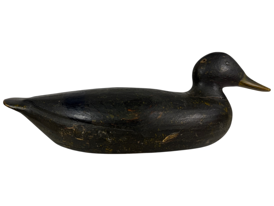 Antique Early Twentieth Century Hand Carved Working Black Duck Hunting Decoy With Original Paint And Heavy Weathering 17'W X 6'H