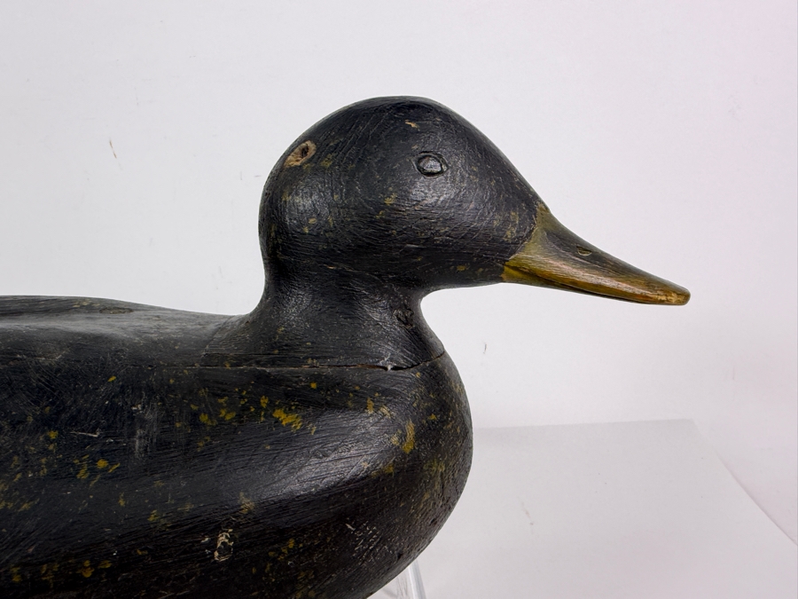 Antique Early Twentieth Century Hand Carved Working Black Duck Hunting Decoy With Original Paint And Heavy Weathering 17'W X 6'H [Photo 2]