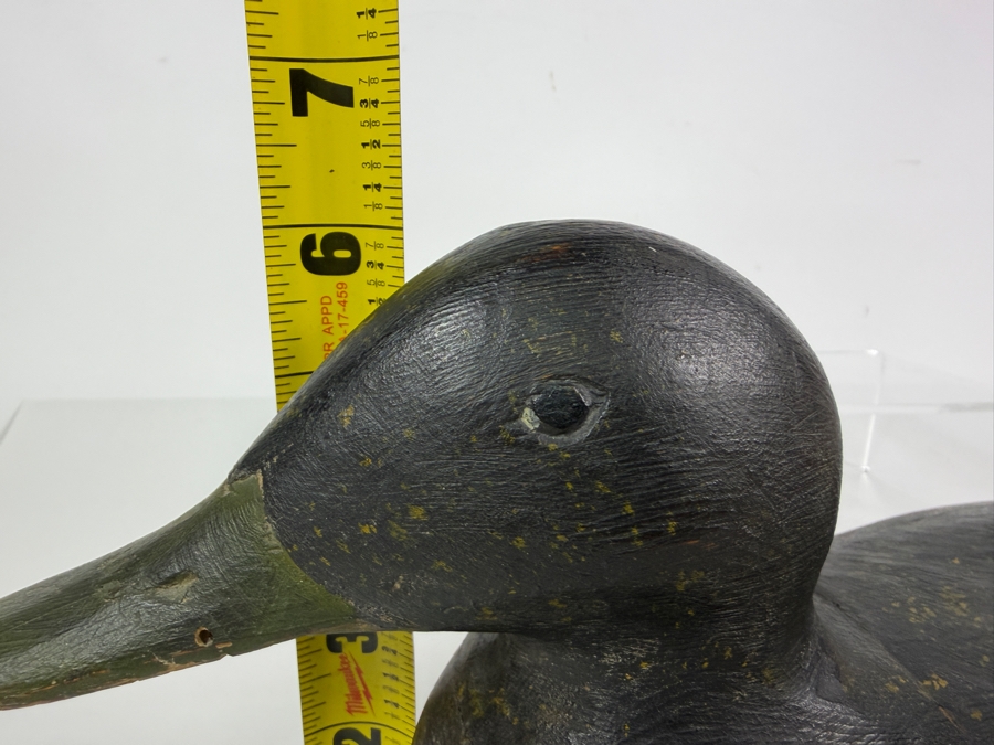 Antique Early Twentieth Century Hand Carved Working Black Duck Hunting Decoy With Original Paint And Heavy Weathering 17'W X 6'H [Photo 8]