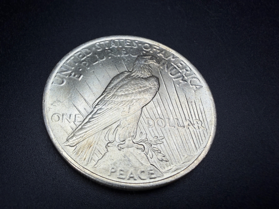 1923 Brilliant Uncirculated Peace Silver Dollar [Photo 4]
