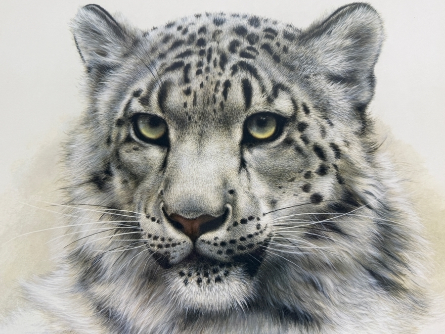 Charles Fracé Artist Signed 'Snow Leopard' Print 15 X 14 Framed 20 X 19 [Photo 3]