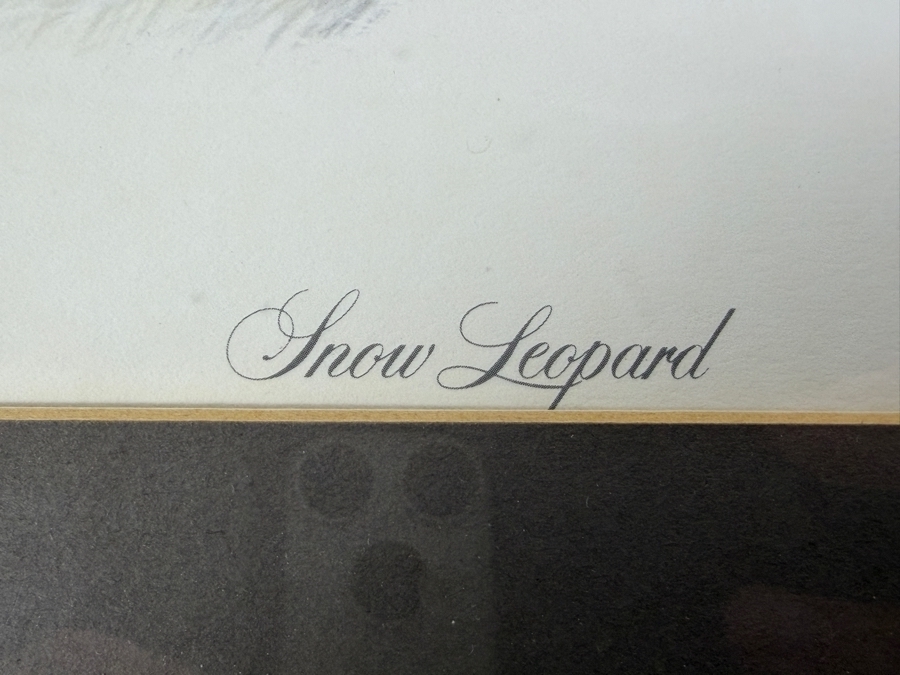 Charles Fracé Artist Signed 'Snow Leopard' Print 15 X 14 Framed 20 X 19 [Photo 4]