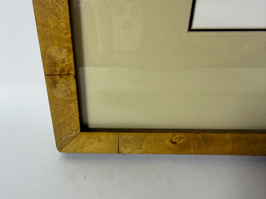 Guy Coheleach Signed 'Chinese Leopard Head' Print 15.5 X 16 Nicely Framed 23 X 25 [Photo 8]