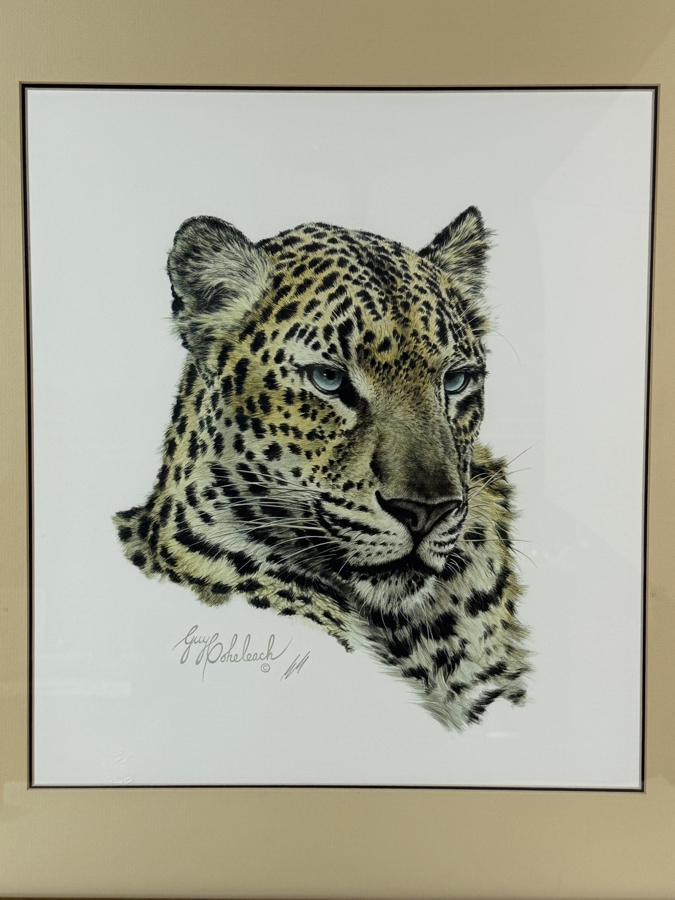 Guy Coheleach Signed 'Chinese Leopard Head' Print 15.5 X 16 Nicely Framed 23 X 25 [Photo 2]