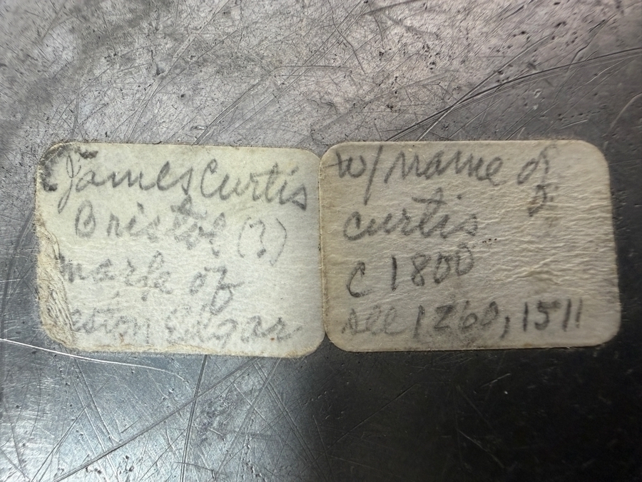 Antique English Pewter Plate Circa 18th Century Marked 'Curtis' 8.25'D Appraised at $910 [Photo 9]