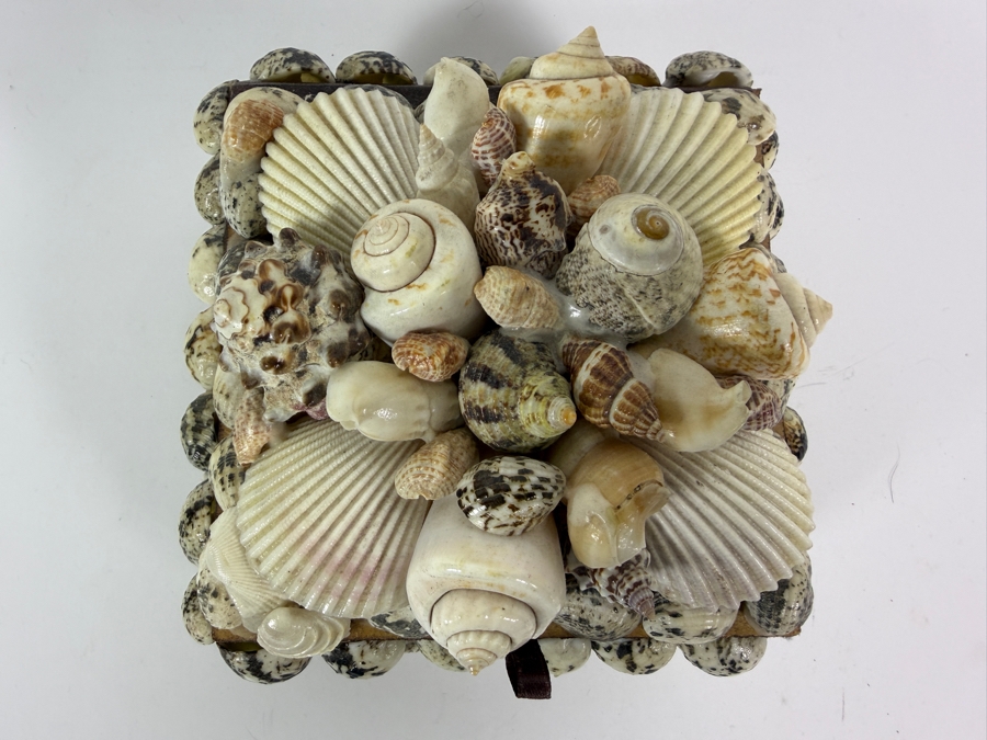 Organic Seashell Hinged Box 5.5W X 5.5D X 4.5H [Photo 3]