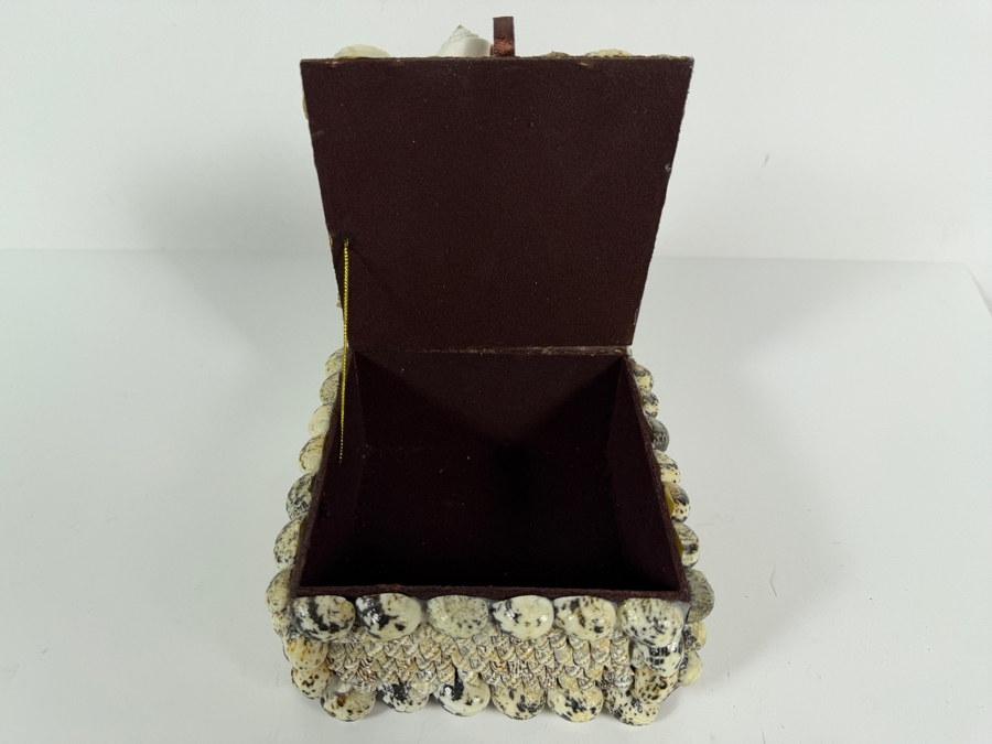Organic Seashell Hinged Box 5.5W X 5.5D X 4.5H [Photo 5]