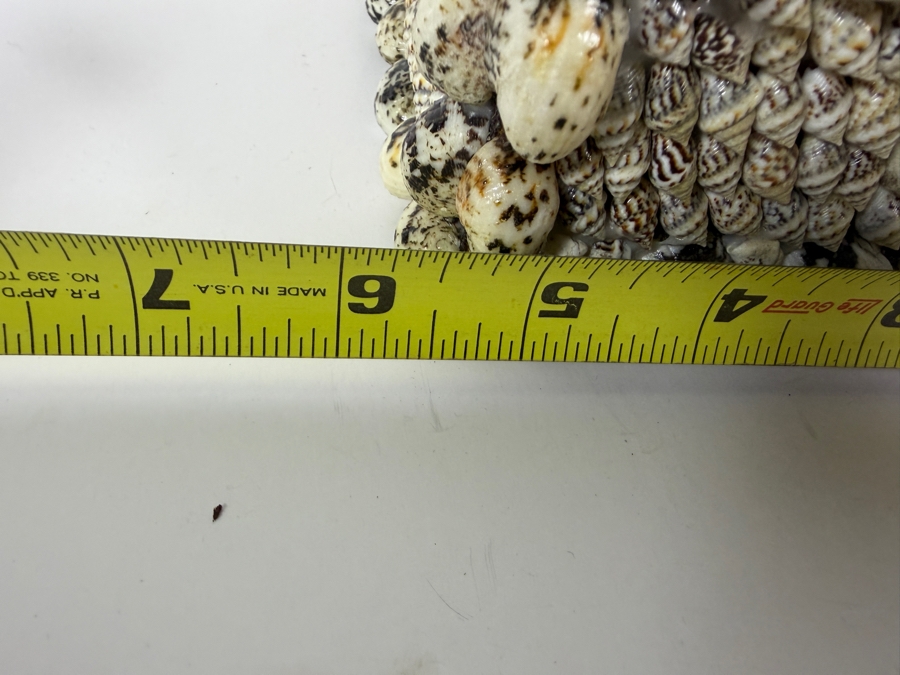 Organic Seashell Hinged Box 5.5W X 5.5D X 4.5H [Photo 6]