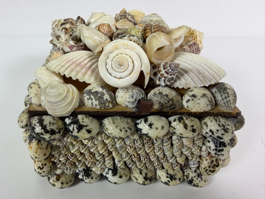 Organic Seashell Hinged Box 5.5W X 5.5D X 4.5H [Photo 2]