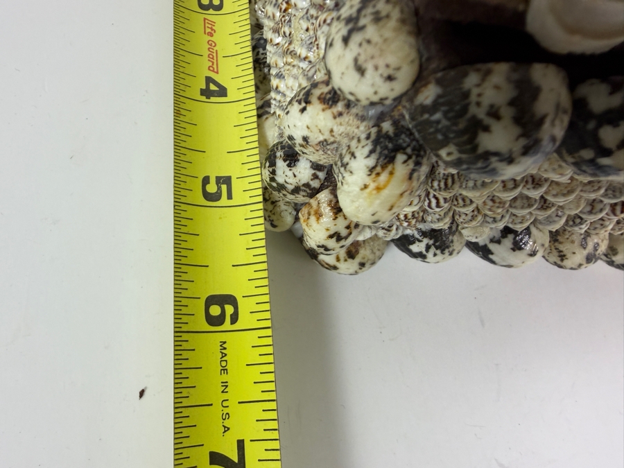 Organic Seashell Hinged Box 5.5W X 5.5D X 4.5H [Photo 7]
