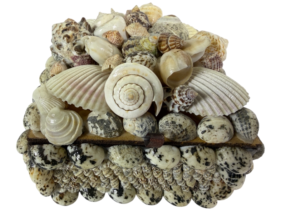 Organic Seashell Hinged Box 5.5W X 5.5D X 4.5H