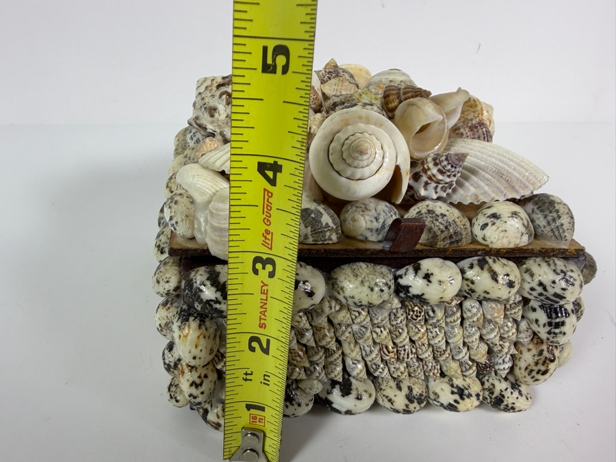 Organic Seashell Hinged Box 5.5W X 5.5D X 4.5H [Photo 8]