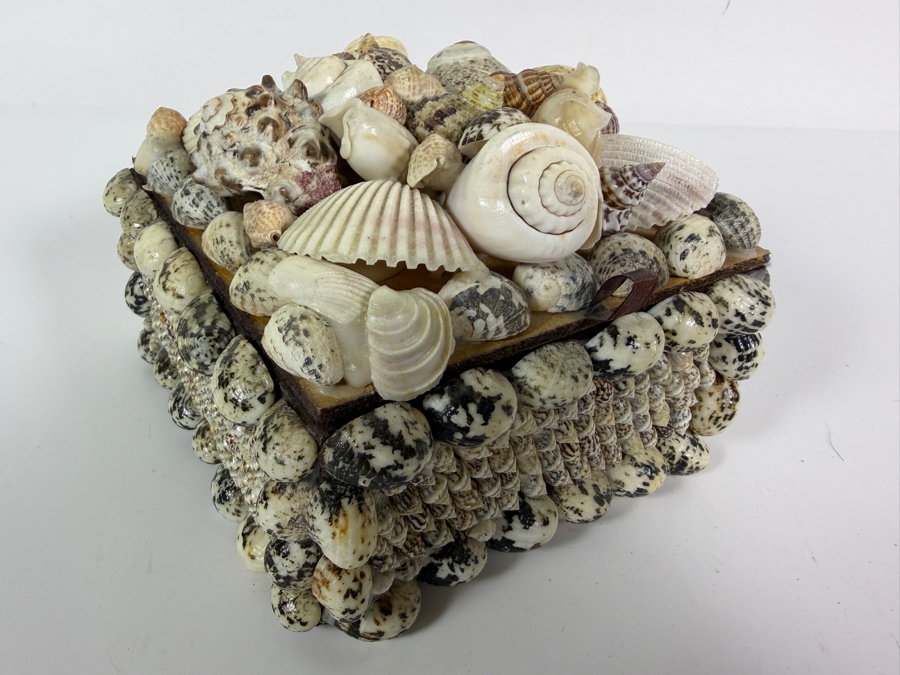 Organic Seashell Hinged Box 5.5W X 5.5D X 4.5H [Photo 4]