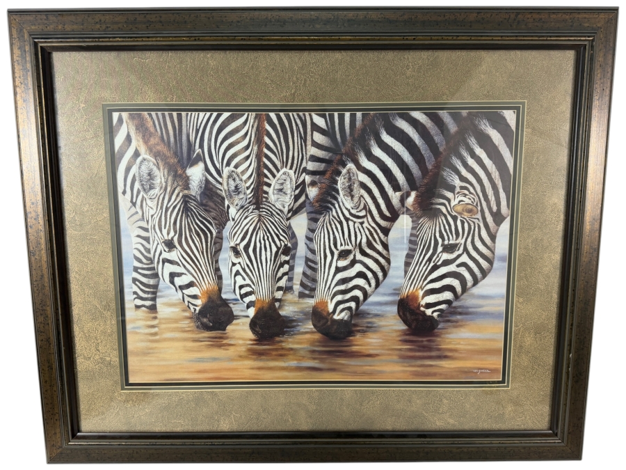 Framed Zebra Print by Henk van Zanten Titled 'Stripes' 24 X 17 Framed 35.5 X 28.5 [Photo 2]