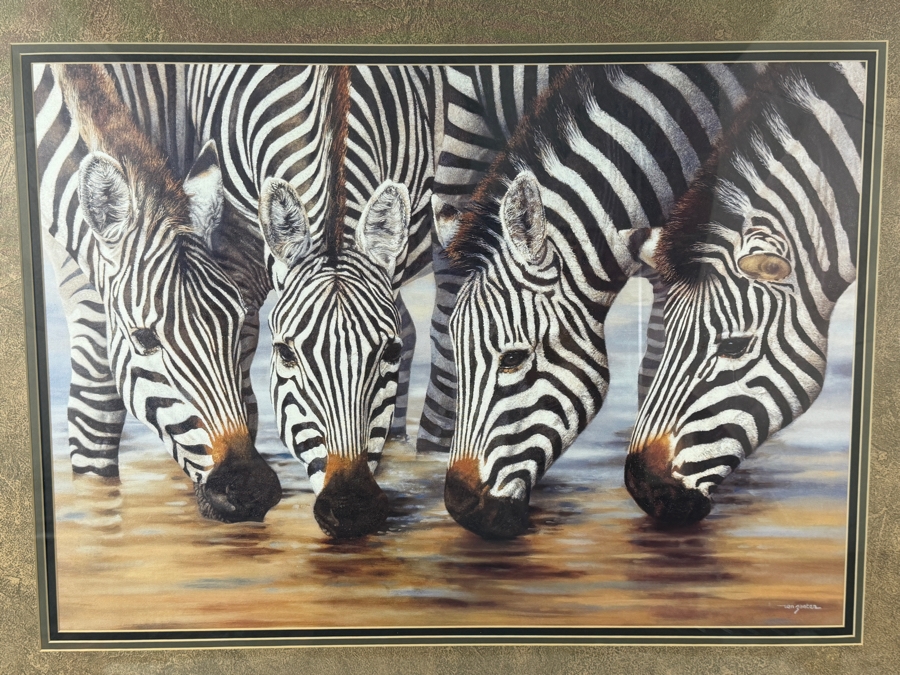 Framed Zebra Print by Henk van Zanten Titled 'Stripes' 24 X 17 Framed 35.5 X 28.5