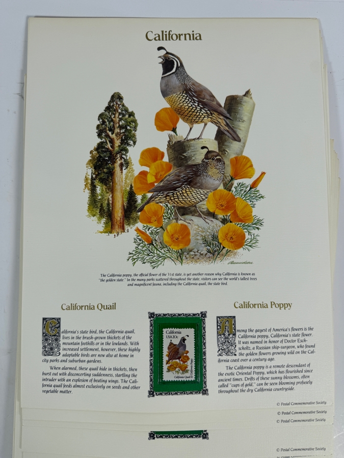 The State Birds and Flowers Commemorative Mint-Stamp Panels Collection with Artist Signed Introductory Panel Signed by Richard Amundsen 50 Mint Stamps / Panels [Photo 10]