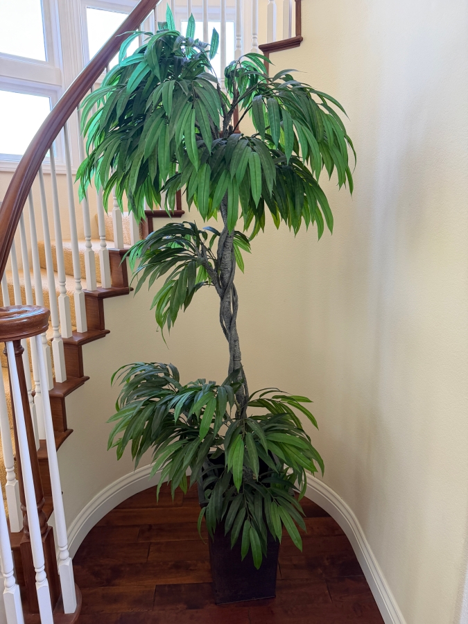 Large Faux Ficus Salicifolia Alii Banana Leaf Silk Tree Featuring A Braided Trunk Accent Within A Dark Rectangular Floor Planter Container 84'H Planter: 20'H