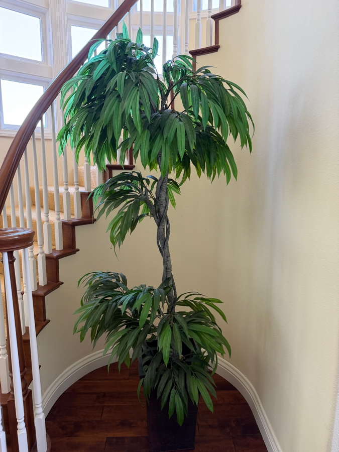 Large Faux Ficus Salicifolia Alii Banana Leaf Silk Tree Featuring A Braided Trunk Accent Within A Dark Rectangular Floor Planter Container 84'H Planter: 20'H [Photo 2]