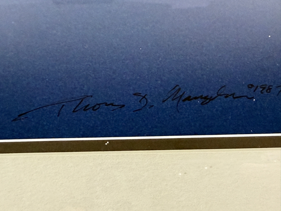 Thomas D. Mangelsen 'Out of the Blue - Bald Eagle' Hand-Signed Limited Edition 253/950 Wildlife Photographic Print 19.5 X 15.5 Framed: 28' X 23' [Photo 6]