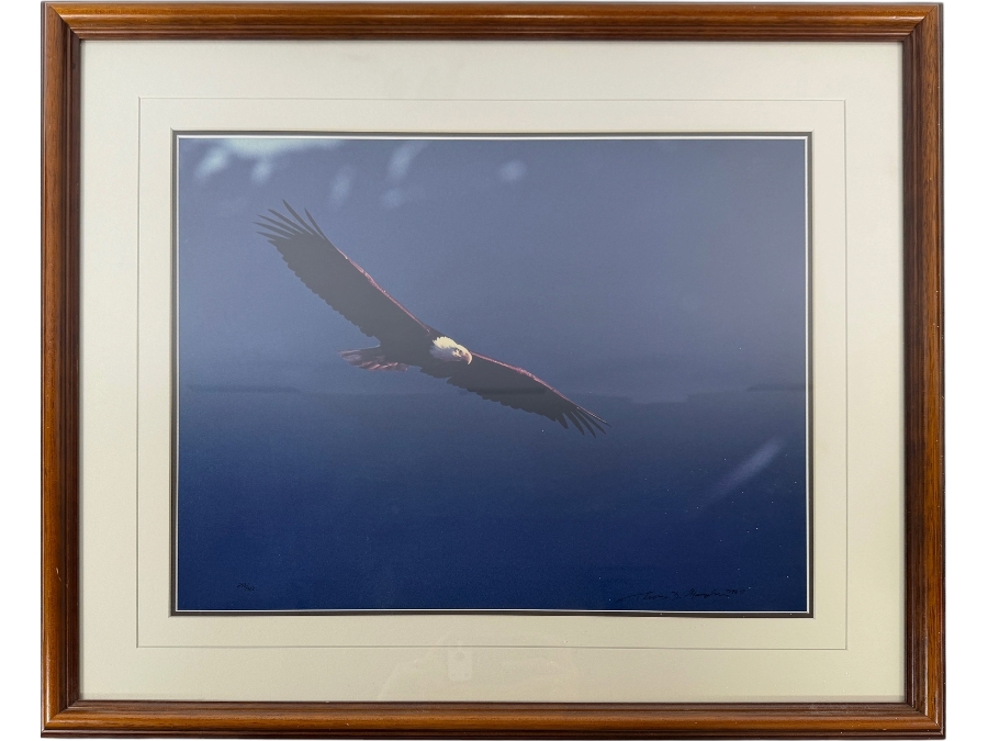 Thomas D. Mangelsen 'Out of the Blue - Bald Eagle' Hand-Signed Limited Edition 253/950 Wildlife Photographic Print 19.5 X 15.5 Framed: 28' X 23'