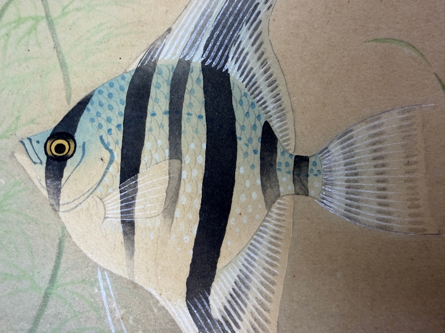 Vintage Japanese Nihonga Style Silk Painting Depicting Angelfish Hand-Signed By Keizan 15' X 10.5' [Photo 4]