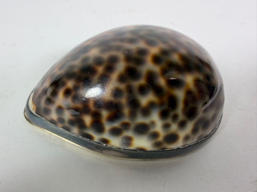 Vintage Tiffany & Co. Sterling Silver-Mounted Tiger Cowrie Shell Trinket or Snuff Box Made in Portugal 81g [Photo 15]