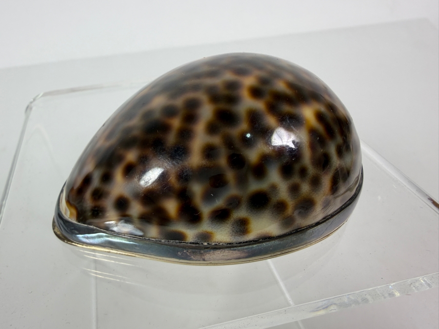 Vintage Tiffany & Co. Sterling Silver-Mounted Tiger Cowrie Shell Trinket or Snuff Box Made in Portugal 81g [Photo 9]