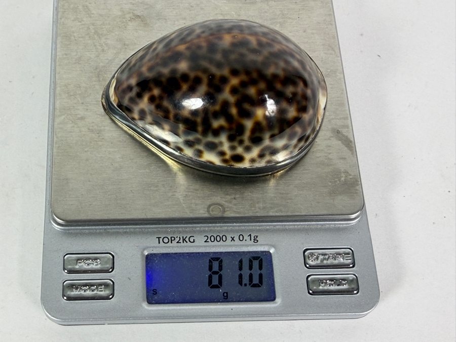 Vintage Tiffany & Co. Sterling Silver-Mounted Tiger Cowrie Shell Trinket or Snuff Box Made in Portugal 81g [Photo 16]