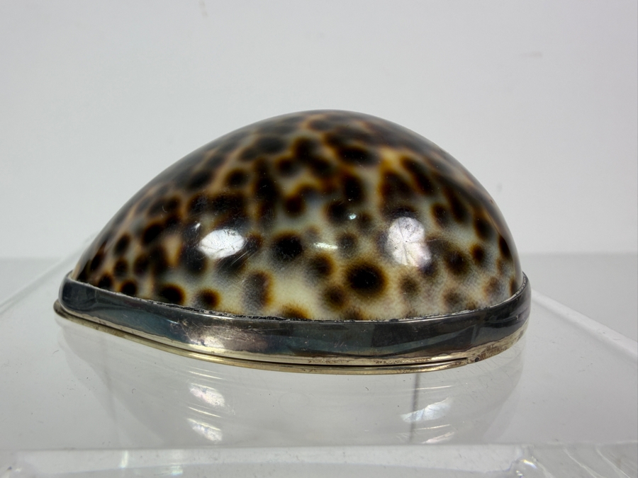 Vintage Tiffany & Co. Sterling Silver-Mounted Tiger Cowrie Shell Trinket or Snuff Box Made in Portugal 81g [Photo 10]