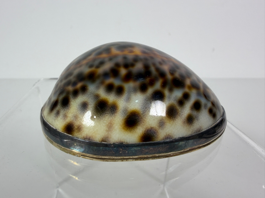 Vintage Tiffany & Co. Sterling Silver-Mounted Tiger Cowrie Shell Trinket or Snuff Box Made in Portugal 81g [Photo 11]